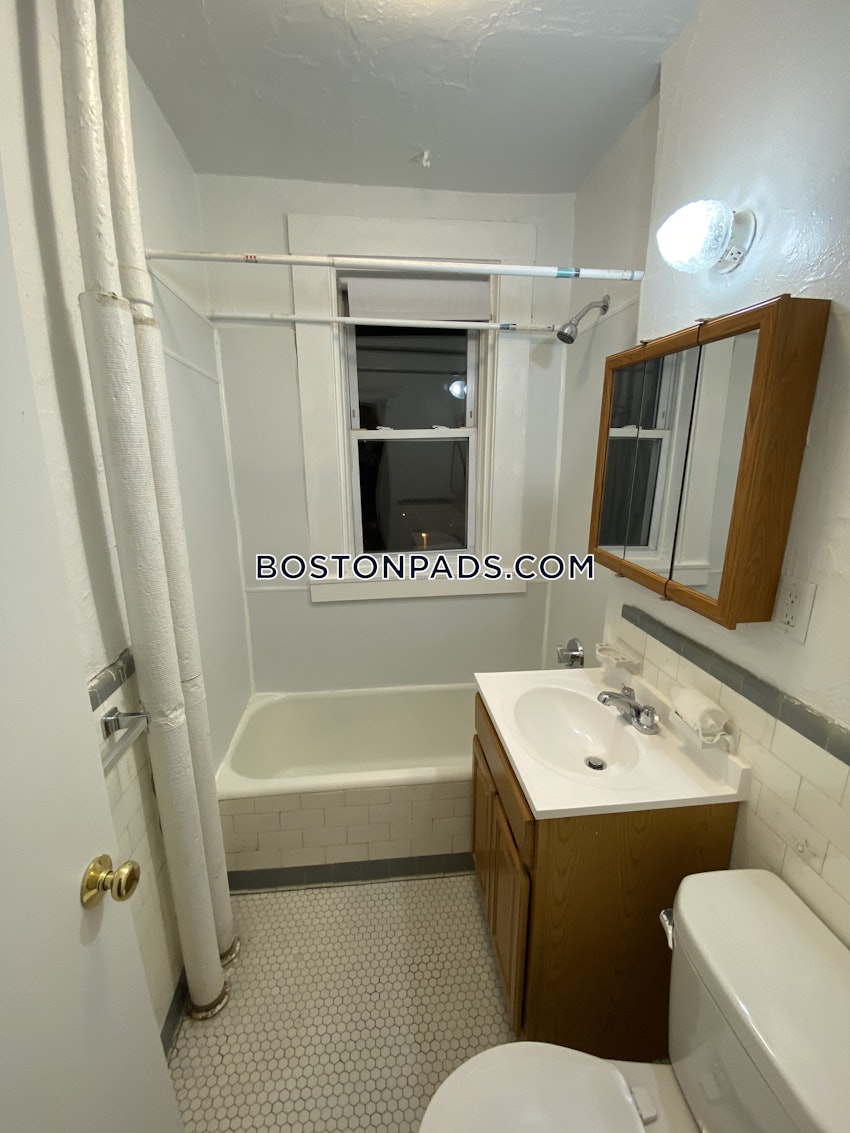 BOSTON - BRIGHTON- WASHINGTON ST./ ALLSTON ST. - 1 Bed, 1 Bath - Image 19