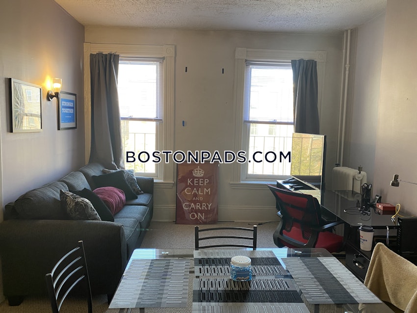 BOSTON - SOUTH END - 1 Bed, 1 Bath - Image 2