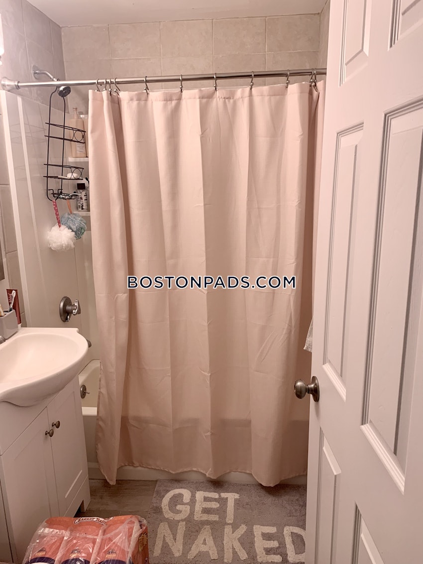 BOSTON - SOUTH BOSTON - WEST SIDE - 4 Beds, 2 Baths - Image 9