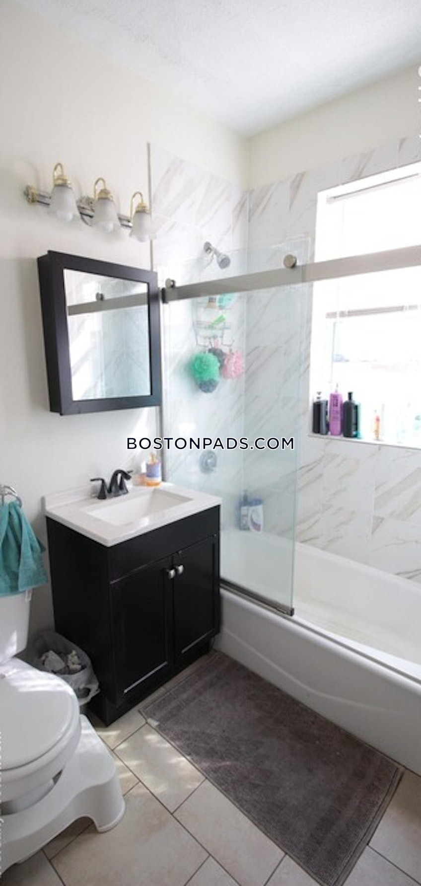 Brookline - $4,800+ /month