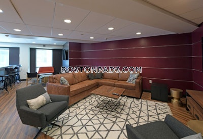 Fenway/kenmore 2 Beds 2 Baths Boston - $4,982