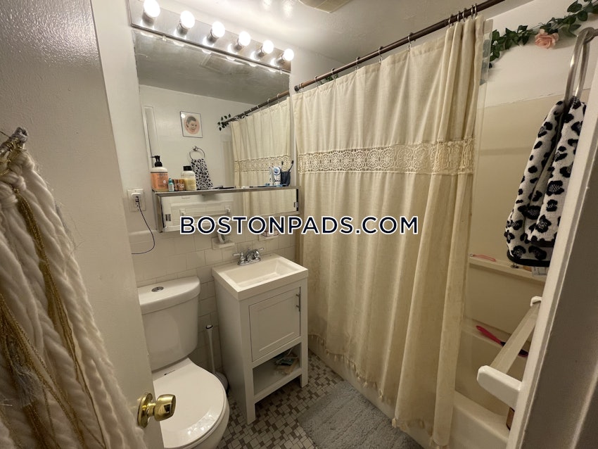 BOSTON - JAMAICA PLAIN - JAMAICA POND/PONDSIDE - 1 Bed, 1 Bath - Image 4