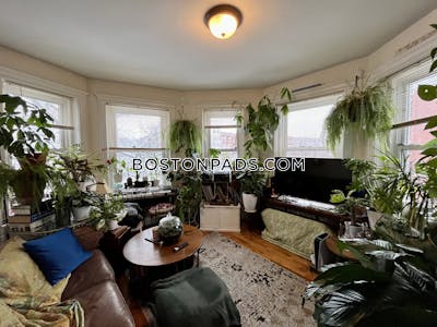Allston 1 Bed 1 Bath Boston - $2,800 No Fee