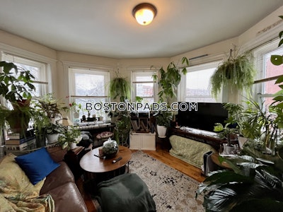 Allston 1 Bed 1 Bath Boston - $2,800 No Fee