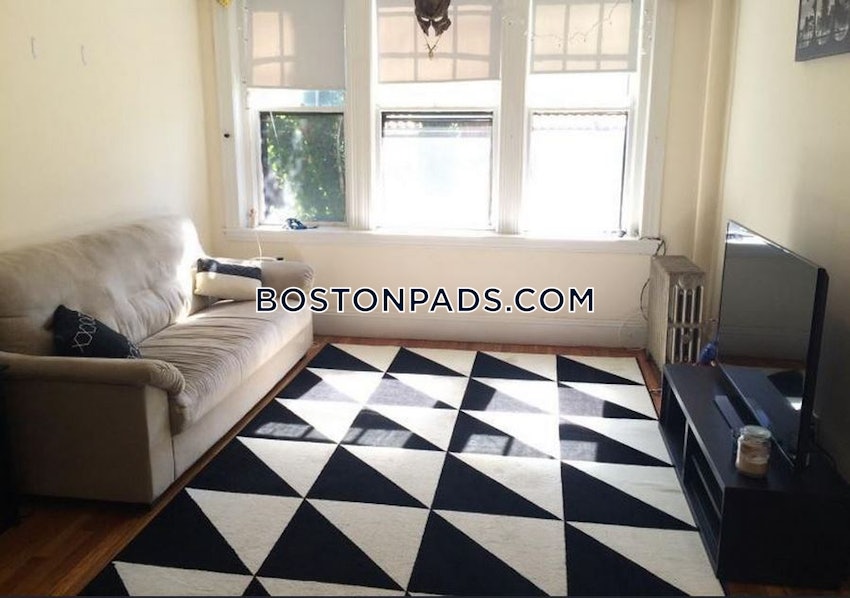 BOSTON - BRIGHTON - CLEVELAND CIRCLE - 2 Beds, 1 Bath - Image 1