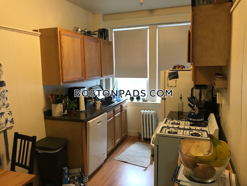 BOSTON - BRIGHTON - CLEVELAND CIRCLE - 1 Bed, 1 Bath - Image 7