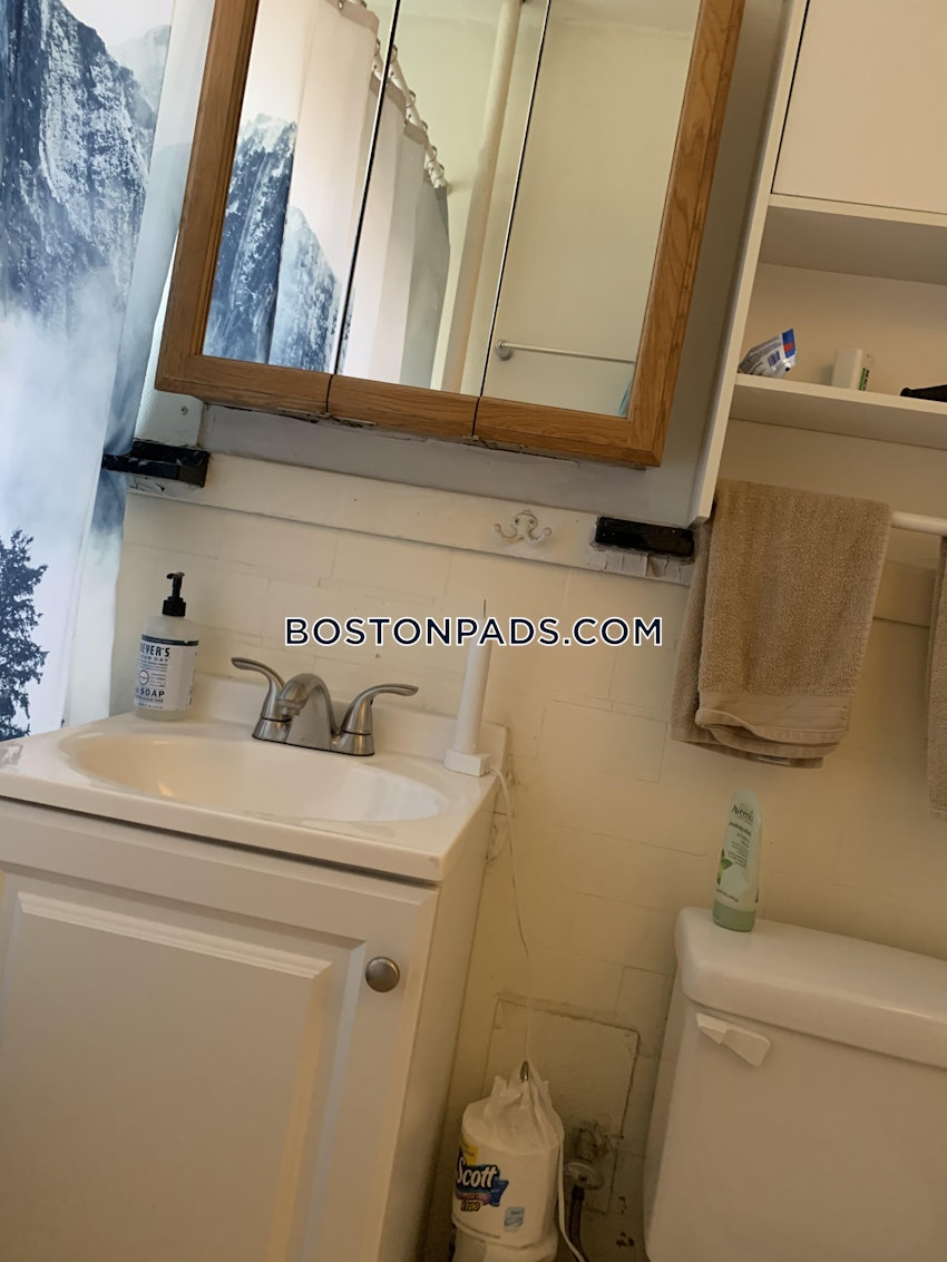 BOSTON - BRIGHTON- WASHINGTON ST./ ALLSTON ST. - 1 Bed, 1 Bath - Image 15