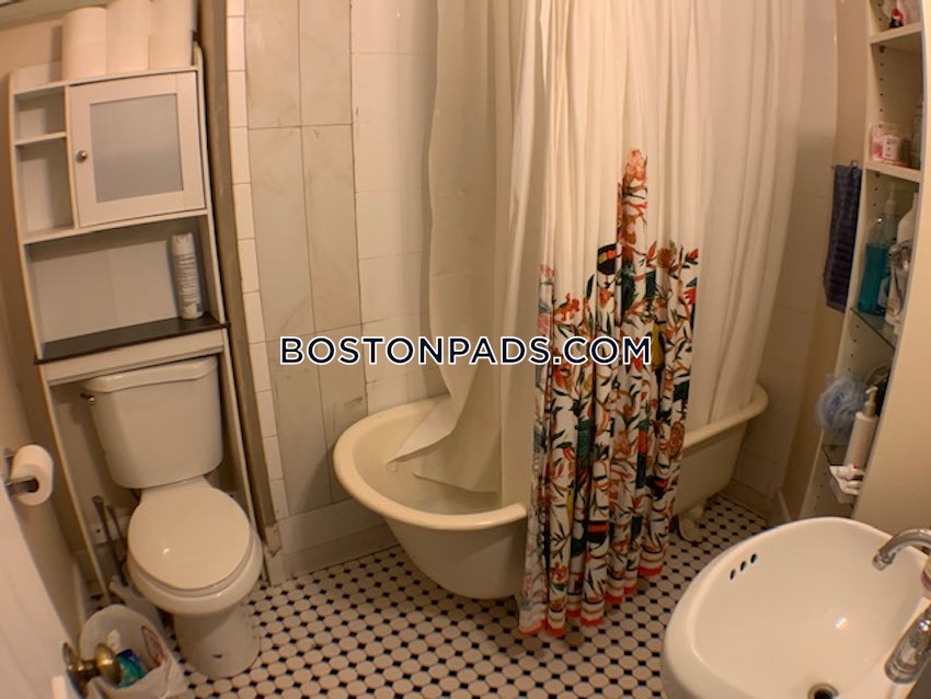 BOSTON - JAMAICA PLAIN - STONY BROOK - 3 Beds, 1 Bath - Image 41