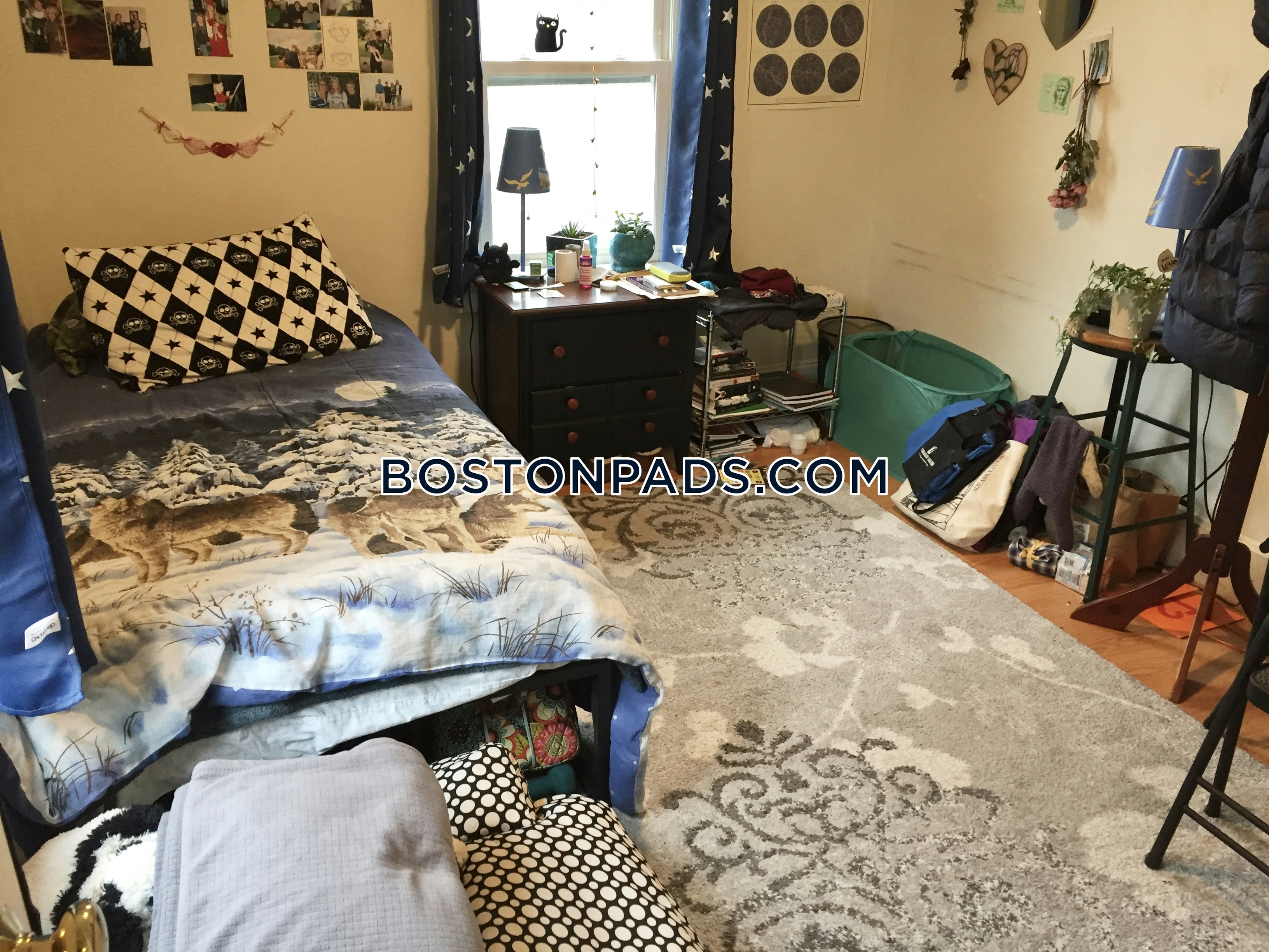 Shepherd Ave. Boston