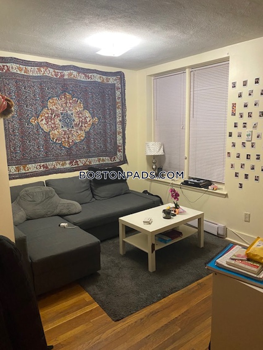 BOSTON - NORTHEASTERN/SYMPHONY - 1 Bed, 1 Bath - Image 2