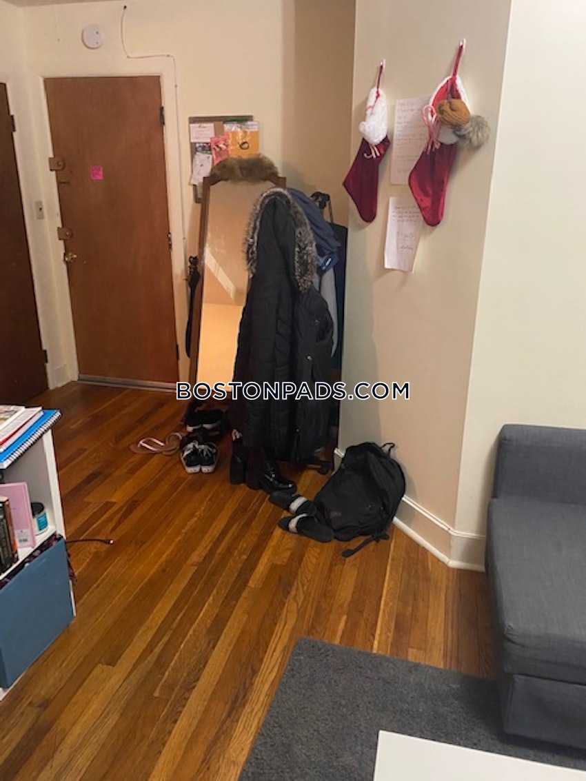 BOSTON - NORTHEASTERN/SYMPHONY - 1 Bed, 1 Bath - Image 4