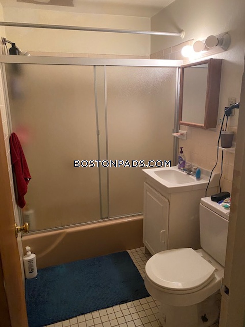 BOSTON - NORTHEASTERN/SYMPHONY - 1 Bed, 1 Bath - Image 8