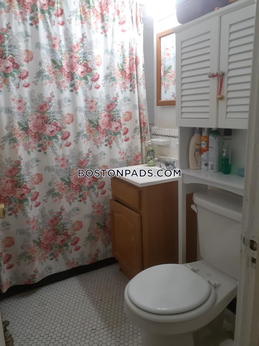 BOSTON - BRIGHTON- WASHINGTON ST./ ALLSTON ST. - Studio , 1 Bath - Image 7