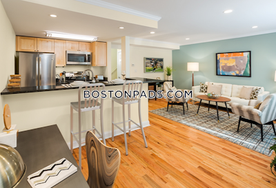 Brookline 1 Bed 1 Bath Unit | Chestnut Hill | Available  Chestnut Hill - $3,170 No Fee