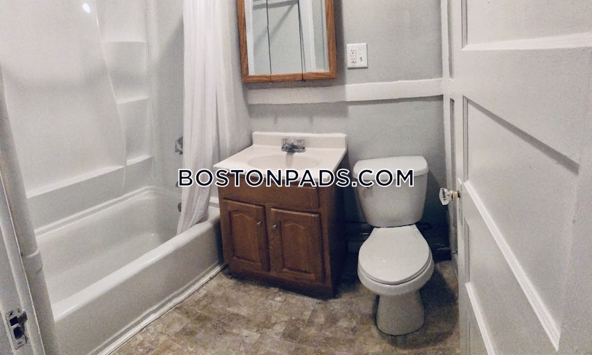 BOSTON - JAMAICA PLAIN - STONY BROOK - 3 Beds, 1 Bath - Image 10
