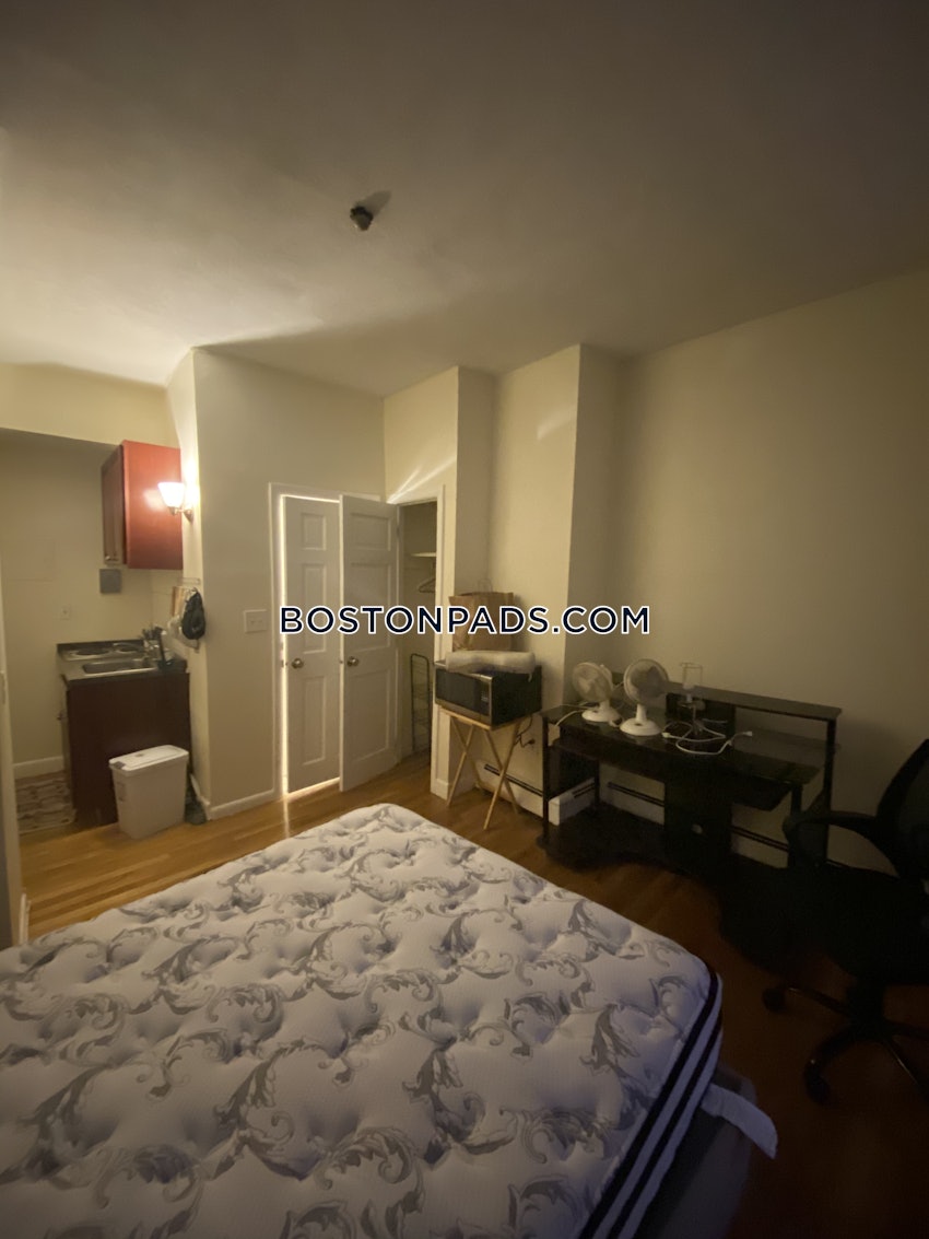 BOSTON - JAMAICA PLAIN - JAMAICA POND/PONDSIDE - Studio , 1 Bath - Image 10