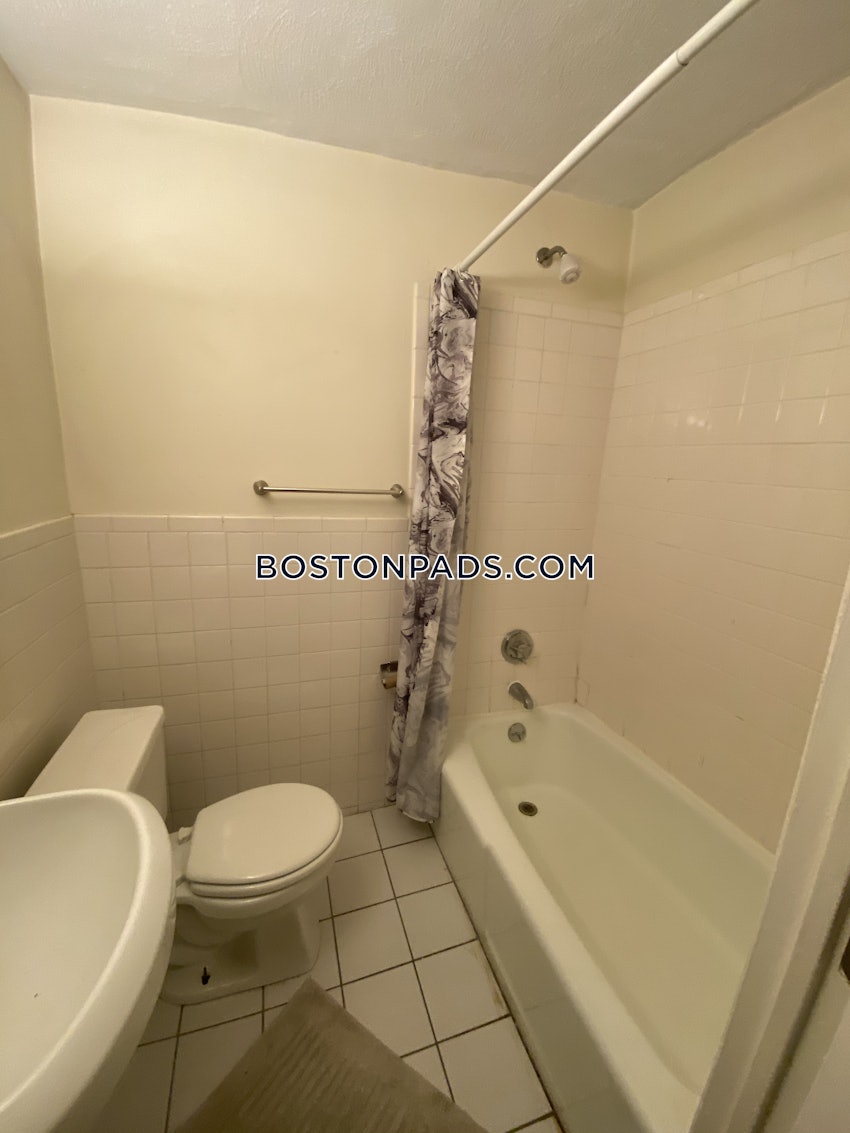 BOSTON - JAMAICA PLAIN - JAMAICA POND/PONDSIDE - Studio , 1 Bath - Image 11