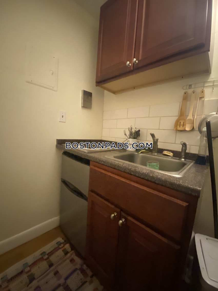 BOSTON - JAMAICA PLAIN - JAMAICA POND/PONDSIDE - Studio , 1 Bath - Image 3