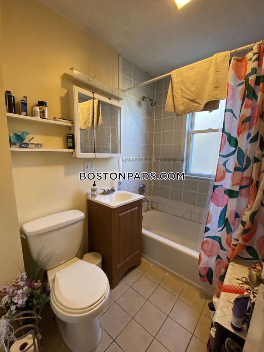 BOSTON - MISSION HILL - 4 Beds, 1 Bath - Image 14