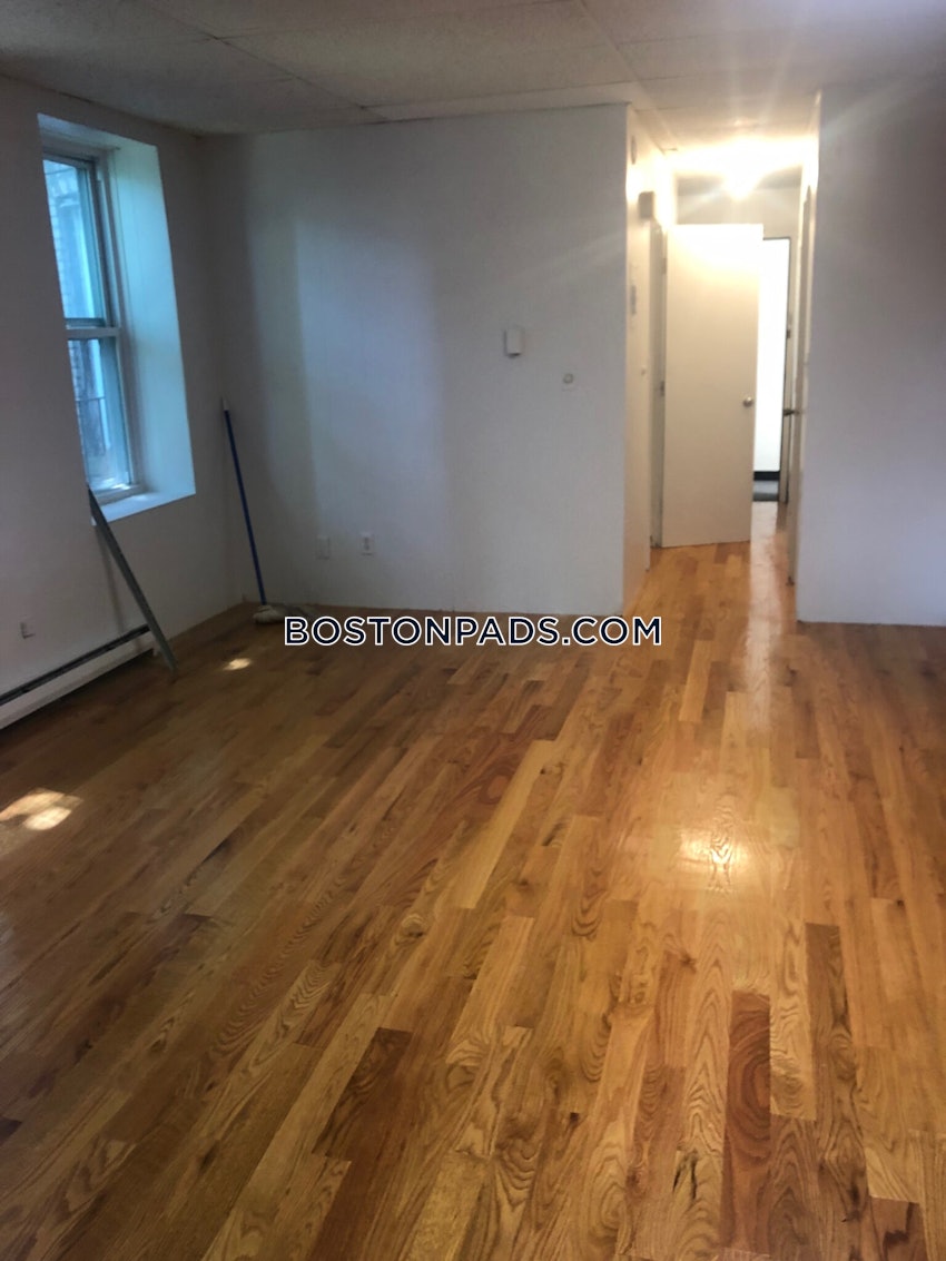 BOSTON - BRIGHTON - CLEVELAND CIRCLE - 1 Bed, 1 Bath - Image 4