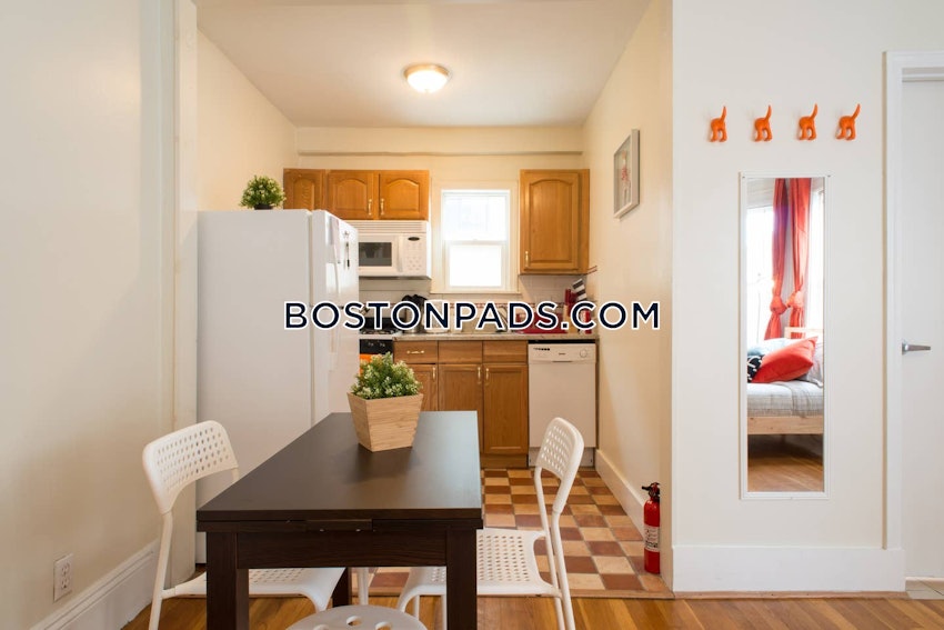 BOSTON - ALLSTON/BRIGHTON BORDER - Studio , 1 Bath - Image 4