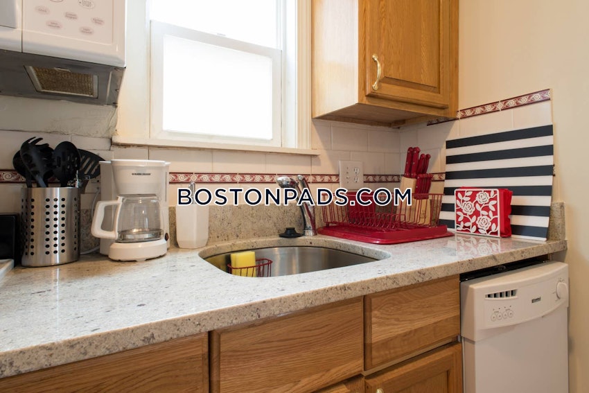 BOSTON - ALLSTON/BRIGHTON BORDER - Studio , 1 Bath - Image 1