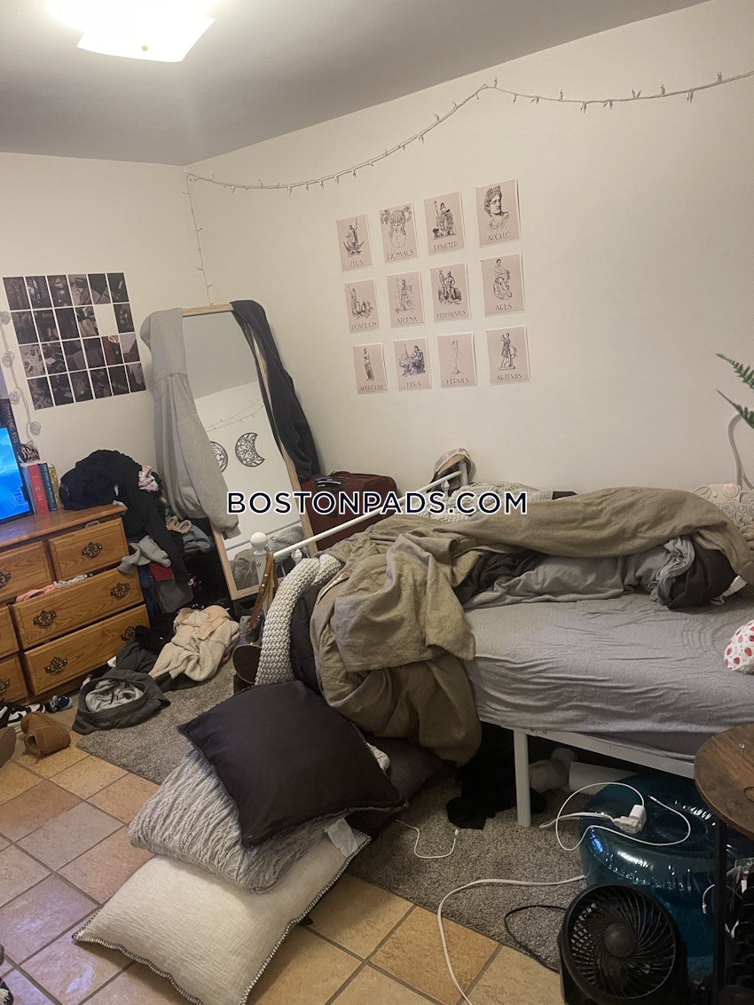 BOSTON - BRIGHTON- WASHINGTON ST./ ALLSTON ST. - 3 Beds, 2 Baths - Image 25