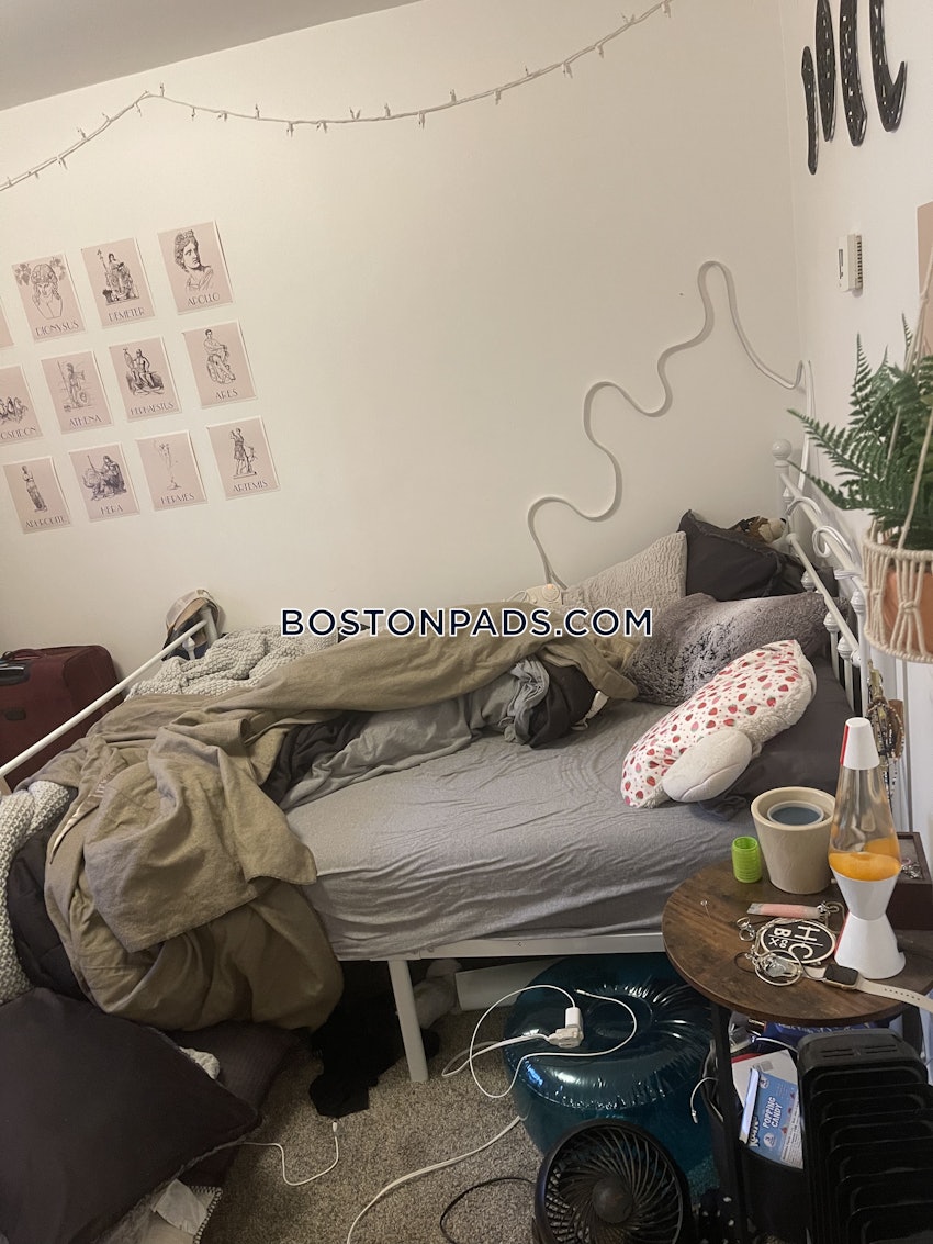 BOSTON - BRIGHTON- WASHINGTON ST./ ALLSTON ST. - 3 Beds, 2 Baths - Image 7