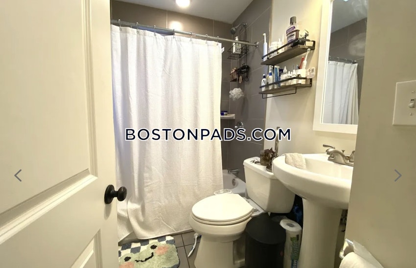 BOSTON - LOWER ALLSTON - 4 Beds, 2 Baths - Image 28