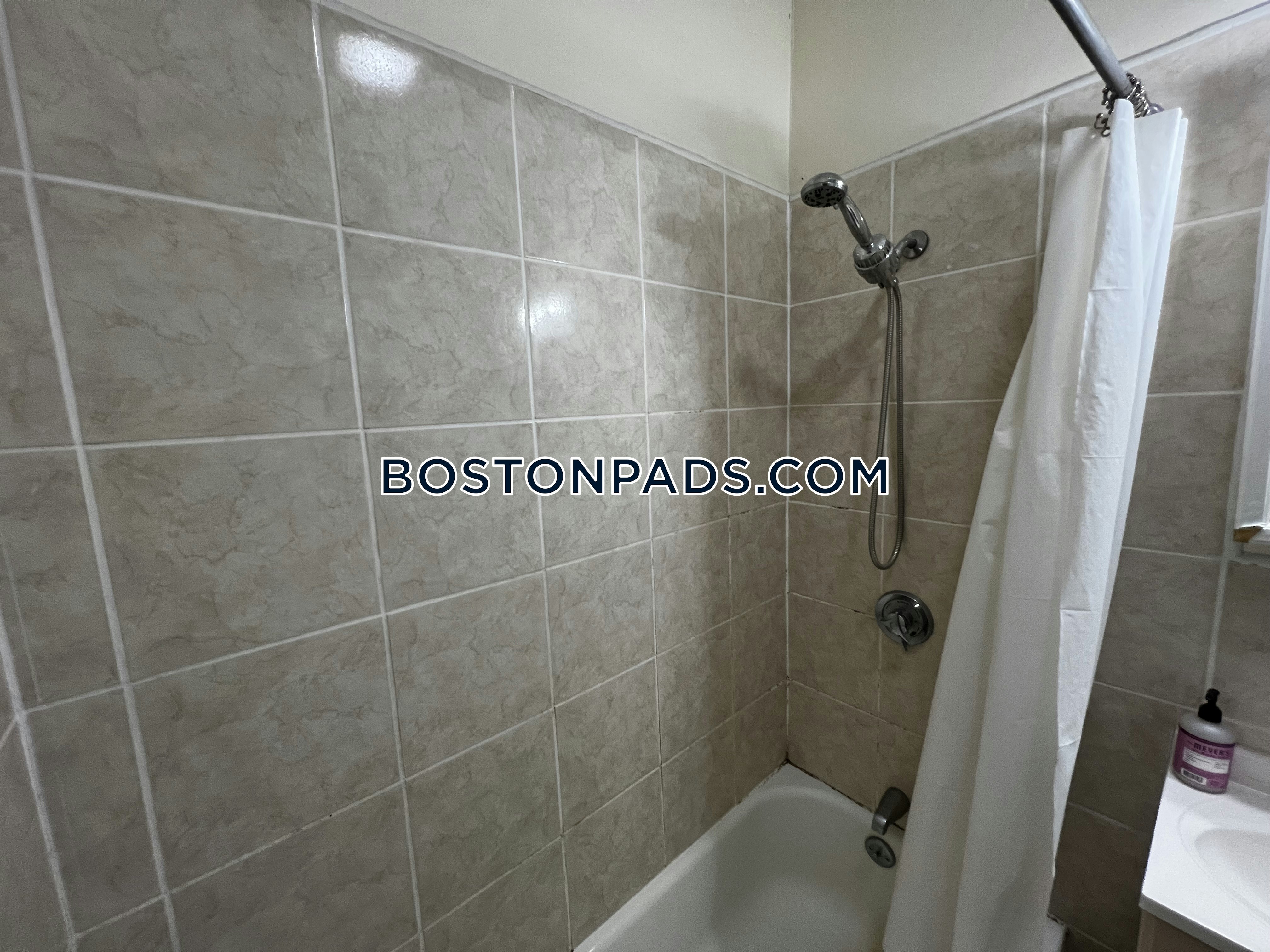 Fenway/Kenmore, Boston, MA - 3 Beds, 1 Bath - $4,850 - ID#4515288