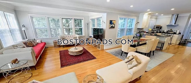 Brookline - $8,000+ /mo