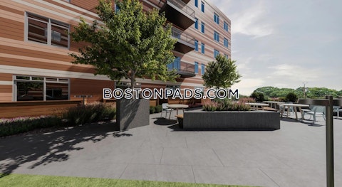 Morrissey Boulevard Boston photo 25