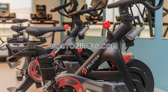 Morrissey Boulevard Boston