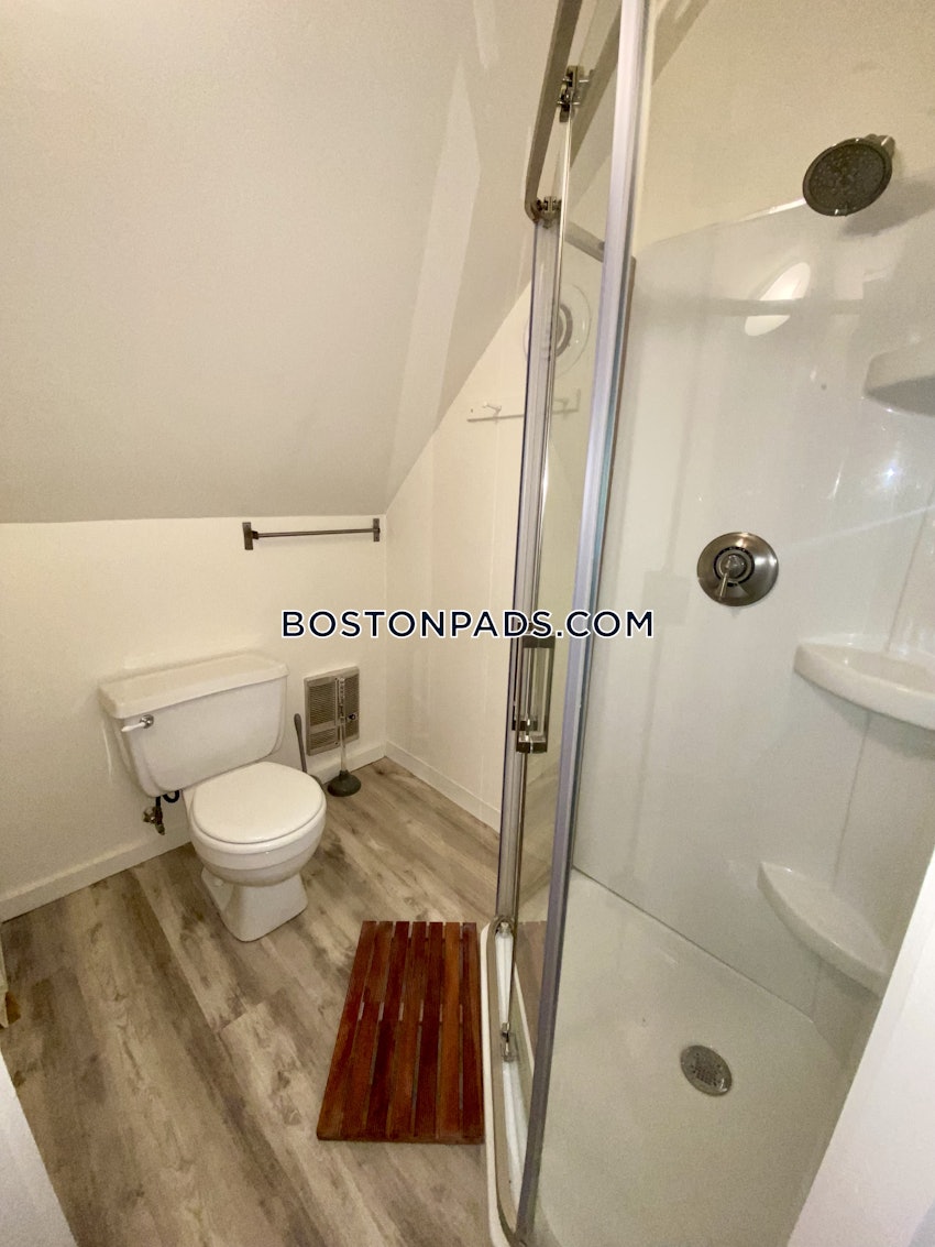 CAMBRIDGE - CENTRAL SQUARE/CAMBRIDGEPORT - 1 Bed, 1 Bath - Image 21