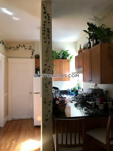Allston, Boston, MA - 2 Beds, 1 Bath - $2,925 - ID#6082665