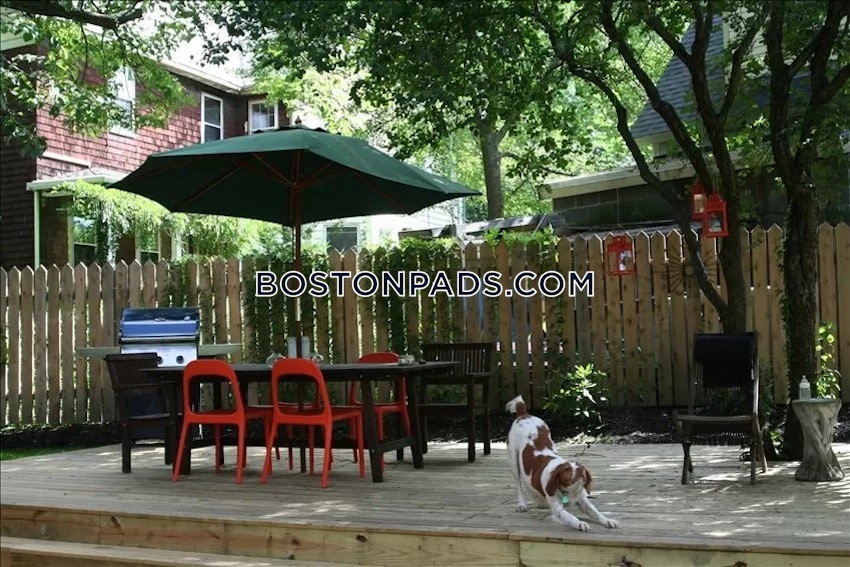 BOSTON - JAMAICA PLAIN - STONY BROOK - 4 Beds, 2 Baths - Image 13