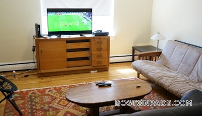 Brighton 2 Bed 1 Bath BOSTON Boston - $3,050