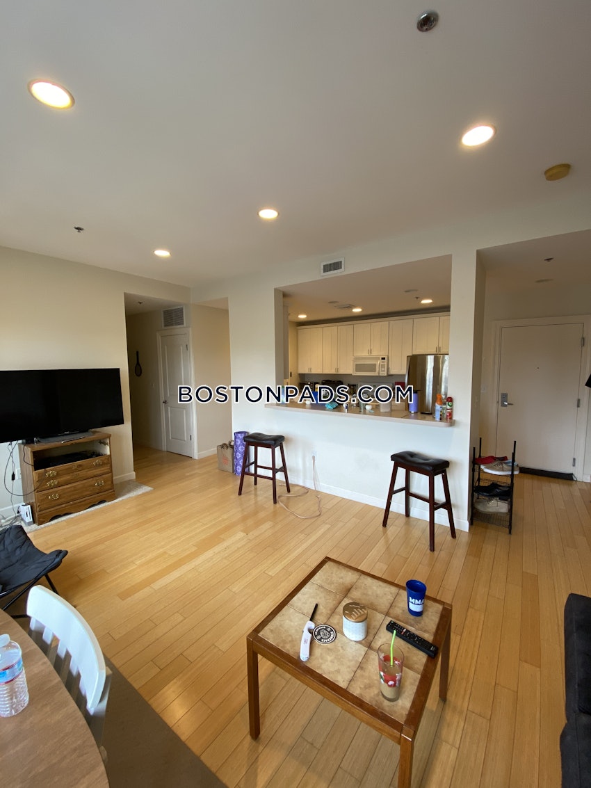 BOSTON - BRIGHTON - CLEVELAND CIRCLE - 2 Beds, 2 Baths - Image 1