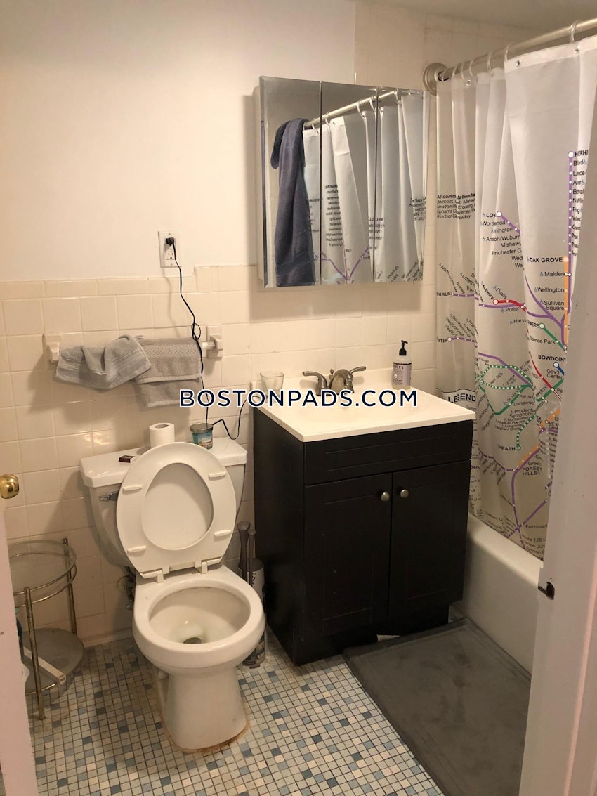 BOSTON - LOWER ALLSTON - 1 Bed, 1 Bath - Image 13