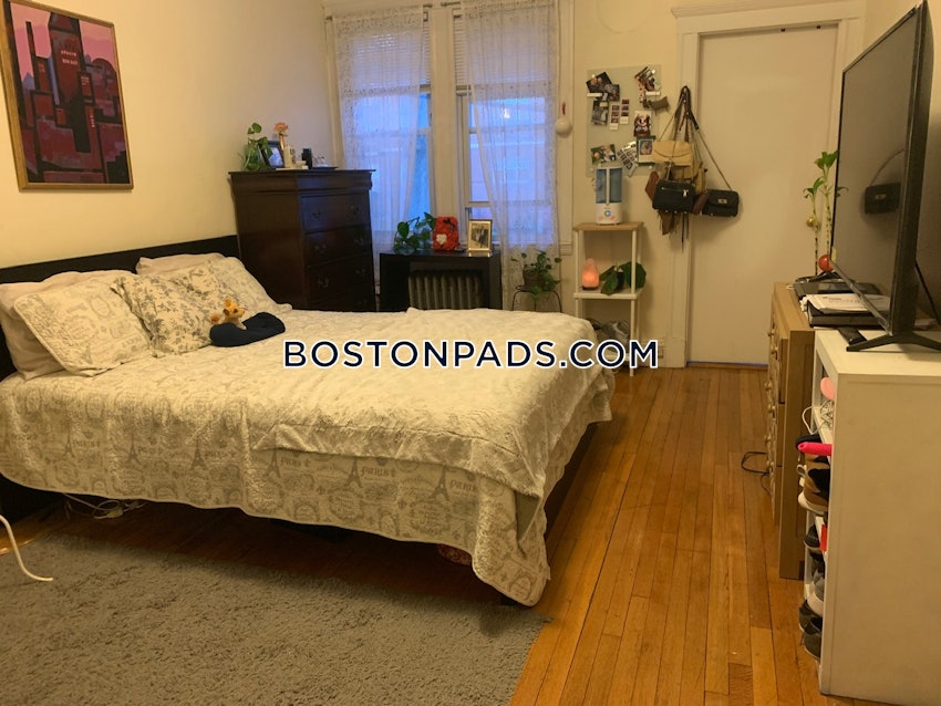 BOSTON - BRIGHTON- WASHINGTON ST./ ALLSTON ST. - 3 Beds, 1 Bath - Image 22