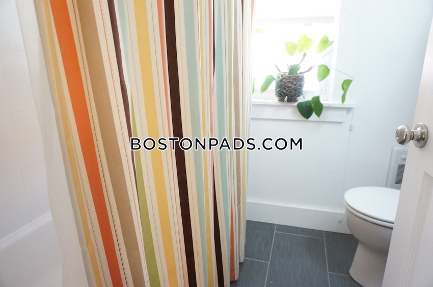 BOSTON - JAMAICA PLAIN - STONY BROOK - 1 Bed, 1 Bath - Image 18