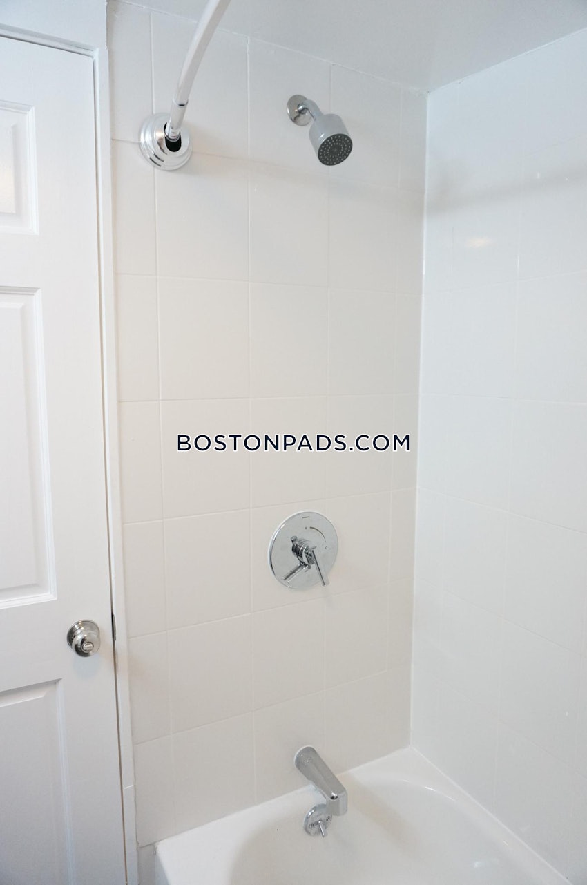 BOSTON - JAMAICA PLAIN - STONY BROOK - 1 Bed, 1 Bath - Image 20
