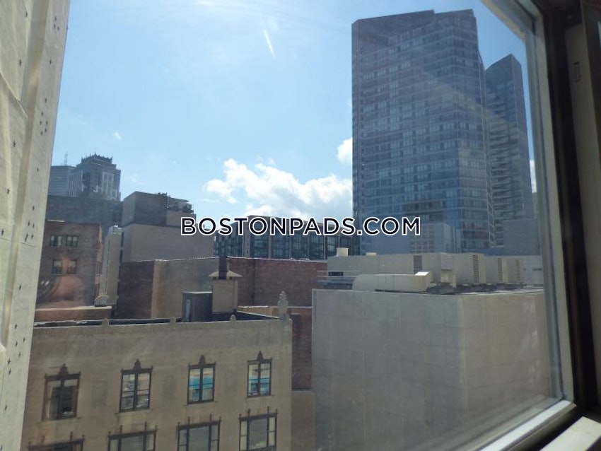 BOSTON - DOWNTOWN - 1 Bed, 1 Bath - Image 5