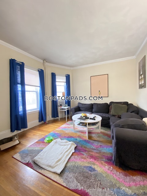 Savin Hill Ave. Boston photo 17