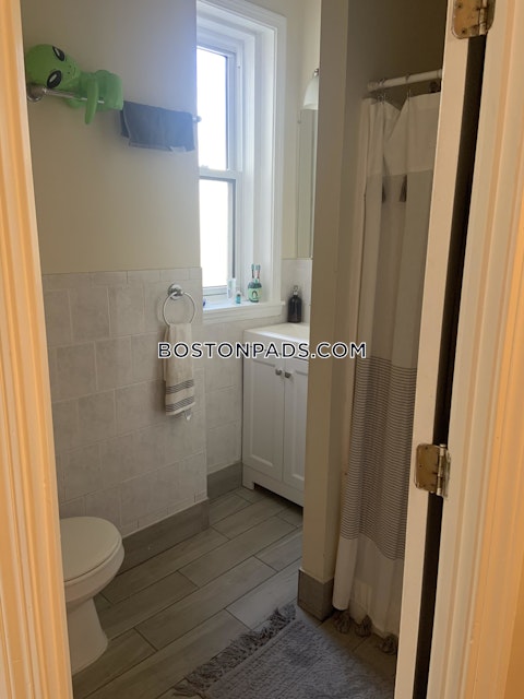 Commonwealth Ave. Boston photo 7