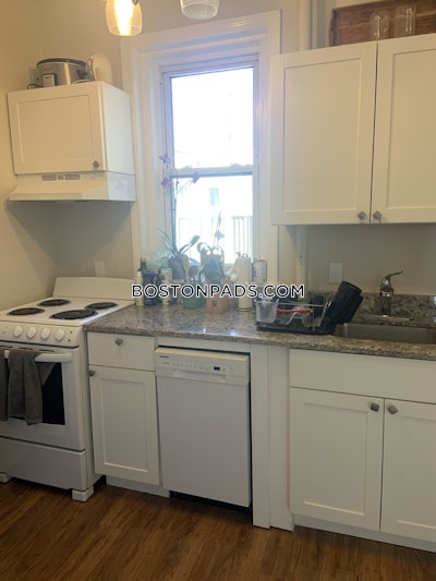 Allston 2 Beds 1 Bath Boston - $2,800 No Fee