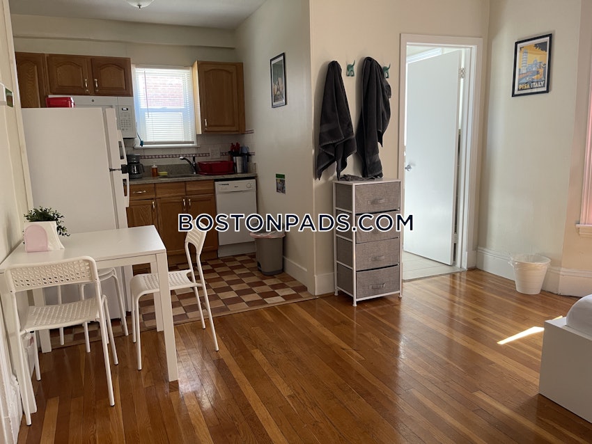 BOSTON - ALLSTON/BRIGHTON BORDER - Studio , 1 Bath - Image 2