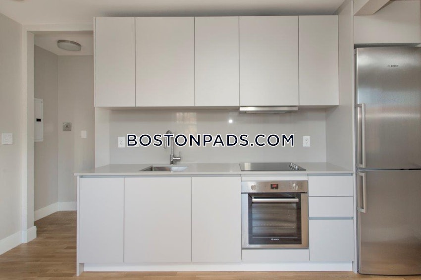 BOSTON - BRIGHTON - CLEVELAND CIRCLE - 1 Bed, 1 Bath - Image 4