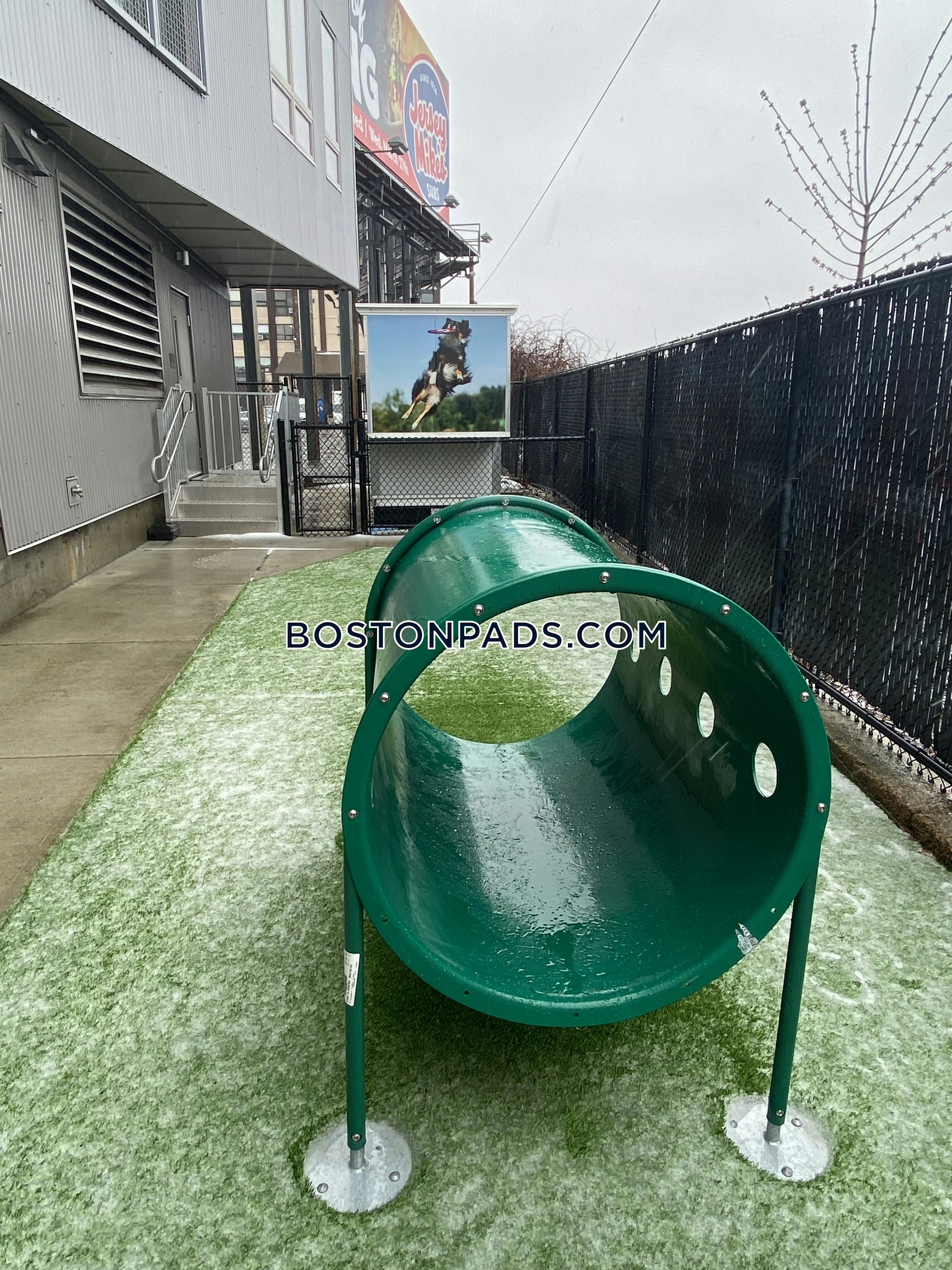 Boston - 2 Beds, 1 Baths