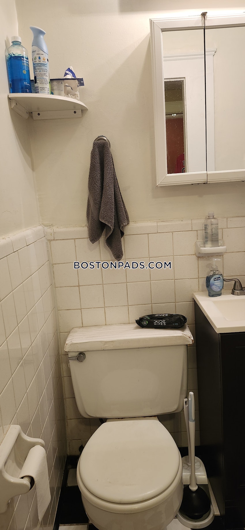 BOSTON - BRIGHTON - CLEVELAND CIRCLE - 1 Bed, 1 Bath - Image 11